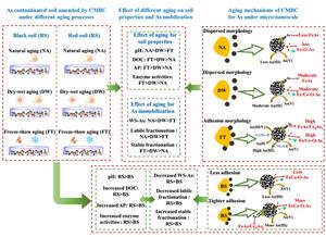 Contrasting effects of three aging processes on arsenic immobilization in red versus black soils amended by cerium-manganese modified biochar: the unique role of freeze–thaw cycling in governing arsenic fate at micro/nano interfaces