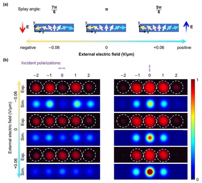 Figure 3 | Dynamical tuning of nonlinear diffraction.