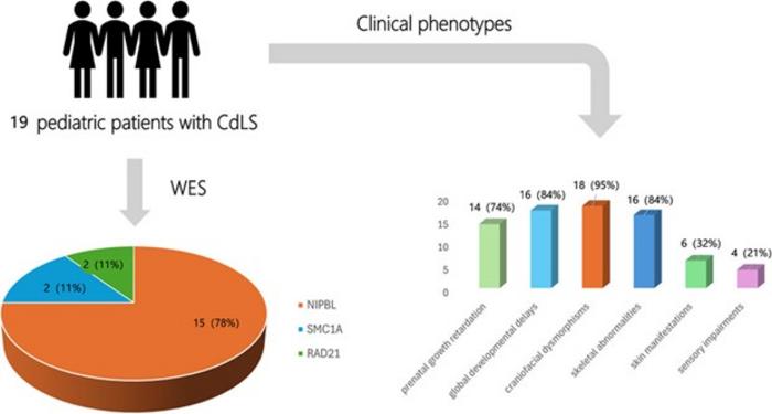 Clinical and genetic characteristics of Cornelia de Lange syndrome in 19 Chinese pediatric patients