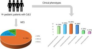 Clinical and genetic characteristics of Cornelia de Lange syndrome in 19 Chinese pediatric patients