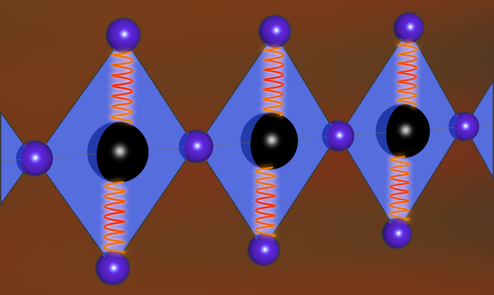 Vibrations interact with a 1D cuprate chain