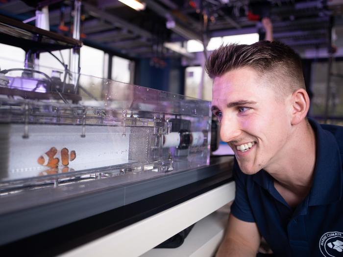 Clownfish study at OIST Marine Science Station