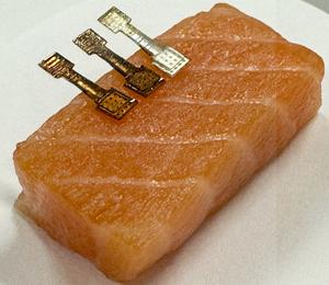 Fish freshness easily monitored with a new sensor