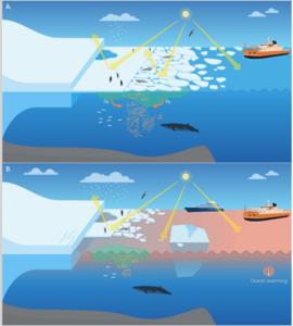 Antarctic ice infographic