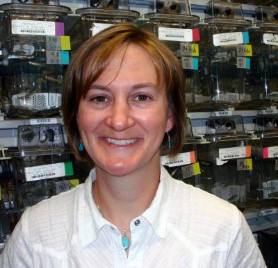Zebrafish & COX Deficiencies