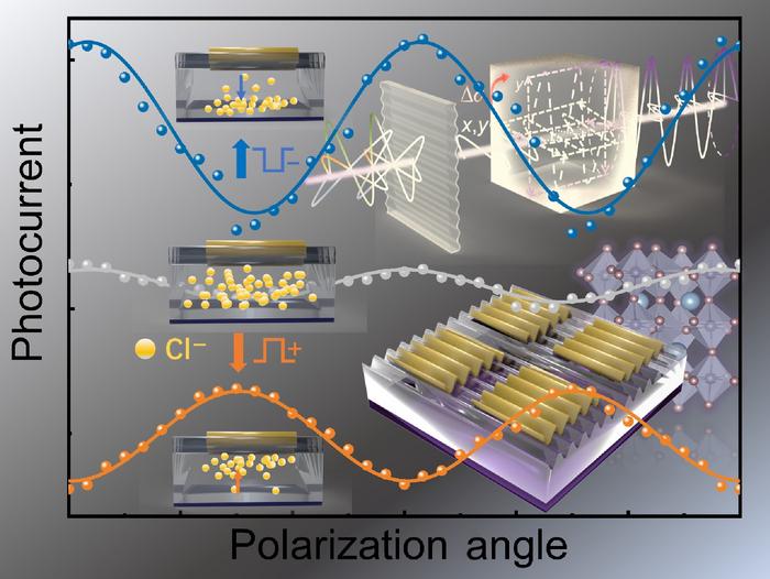 Electrically/optically modulated polarization photodetector