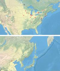 Distribution in North America and Asia
