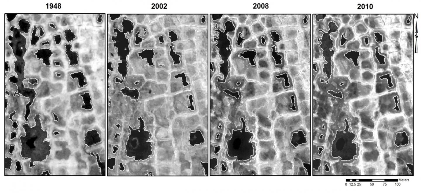 Arctic Ponds Over Time