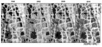 Arctic Ponds Over Time