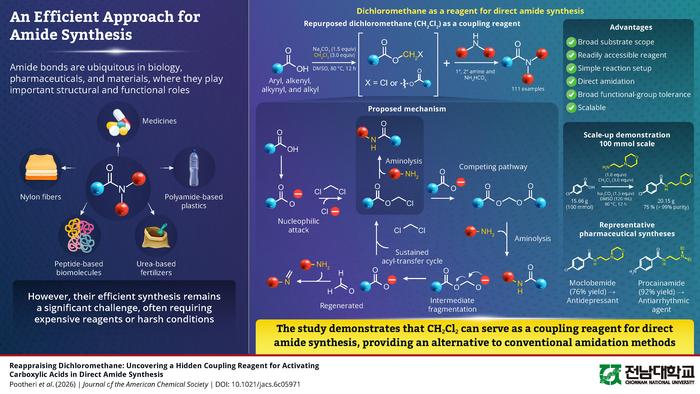 Proposed dichloromethane-mediated amide synthesis