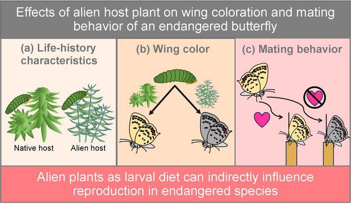Diet affects developmental differences