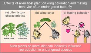 Diet affects developmental differences