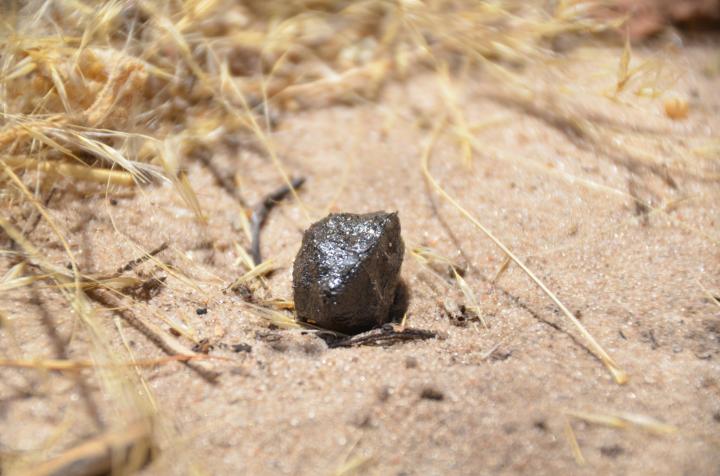 fragment-of-asteroid-2018-LA-Jenniskens