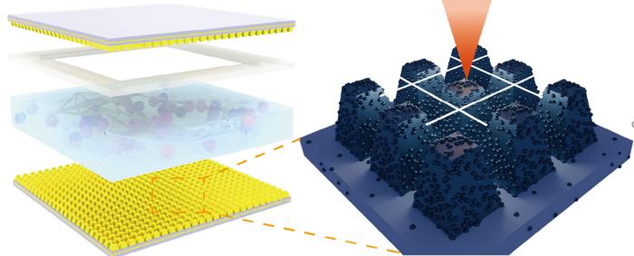 Femtosecond laser-engraved micro/nano structures for pressure sensors