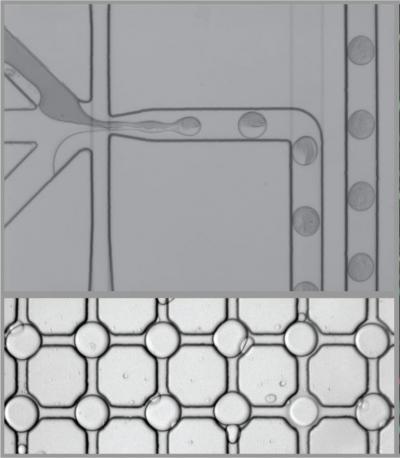 REEAD Technology