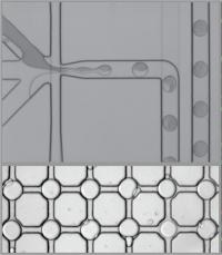 REEAD Technology