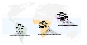 Variation in mammal food webs across the globe