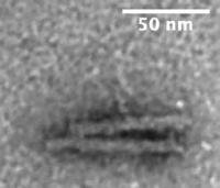A Simple DNA Hinge