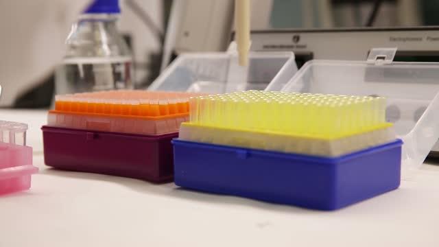 New Vaccine Technique Effectively Fights Breast Cancer in Mice