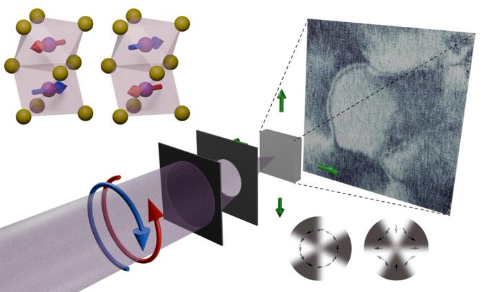 Nanoscale X-ray Imaging Unveils Bulk Altermagnetism in MnTe