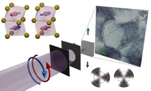 Nanoscale X-ray Imaging Unveils Bulk Altermagnetism in MnTe
