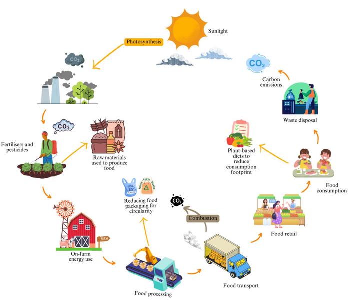 Optimizing carbon emissions and SDG-12 performance in the EU food system