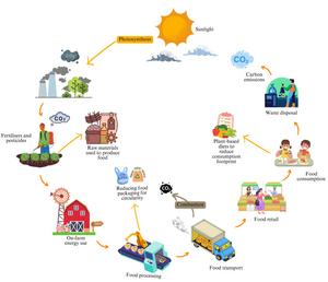 Optimizing carbon emissions and SDG-12 performance in the EU food system