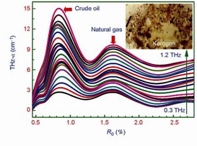 Absorption Coefficients of Kerogen