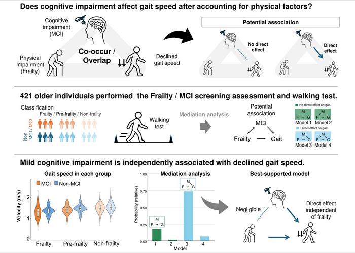 Mild Cognitive Impairment Is Independently Associated with Slower Gait Speed