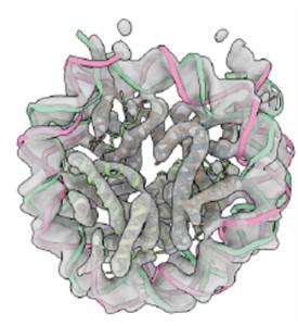 Nucleosome (illustration)