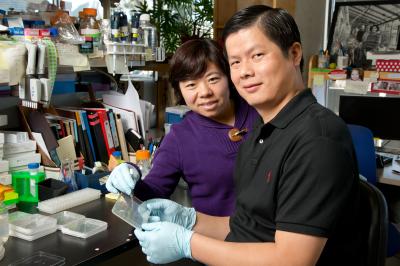 Yongxia Guo and Zuyu Zheng, Salk Institute