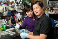 Yongxia Guo and Zuyu Zheng, Salk Institute