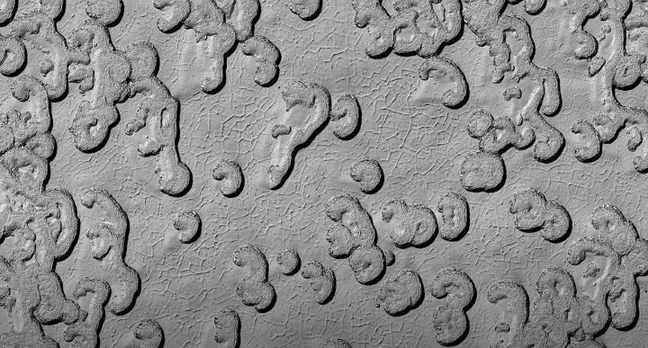 Mars Polar Cap