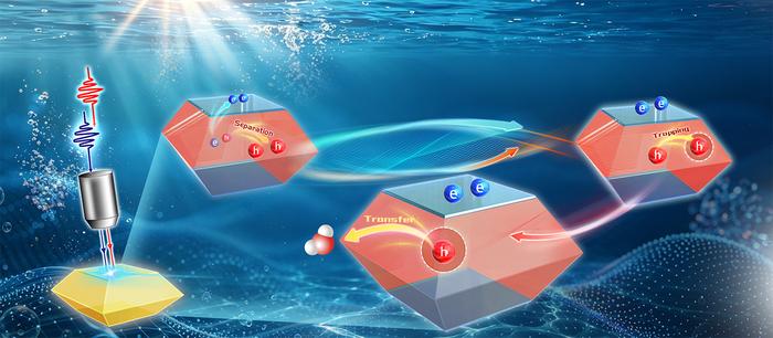 Study tracks photogenerated hole evolution from separation to transfer in photocatalysis