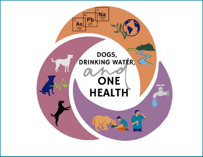 What’s in your pup’s bowl? Heavy metals, reveals 10-state survey