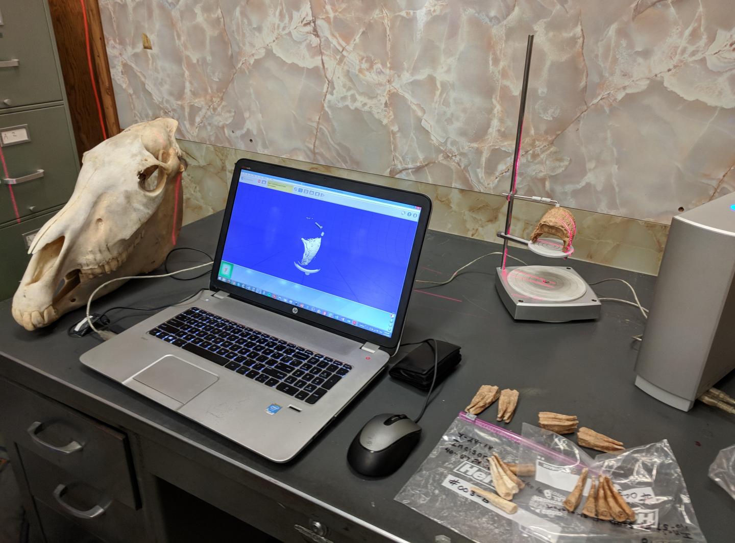 3D scan