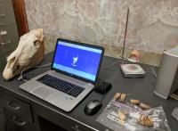 3D scan