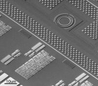 FIG2 Three-dimensional Electron Microscope Image