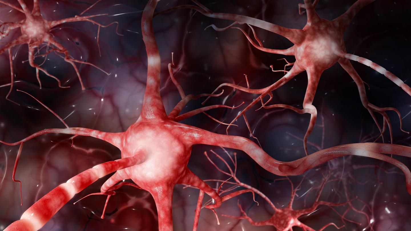A Picture of Bad Neurons