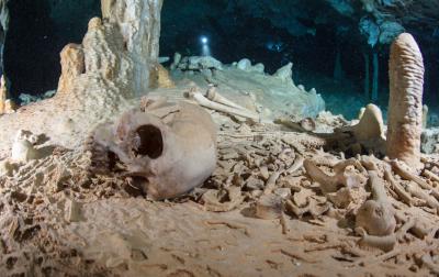 Human Settlement In The Americas May Have Occurred in the Late Pleistocene