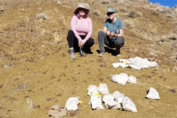 Collecting samples