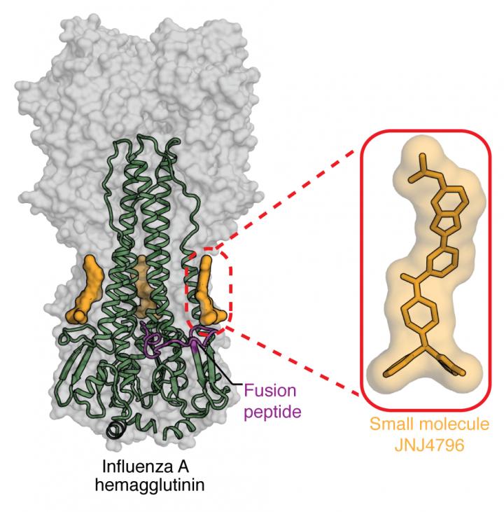 Experimental Flu Drug Binding To Influenza Virus