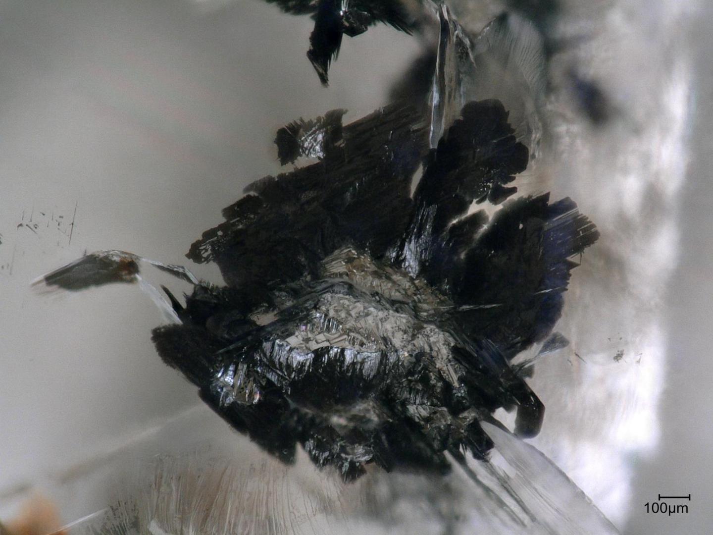 Sulfur-Containing Inclusion
