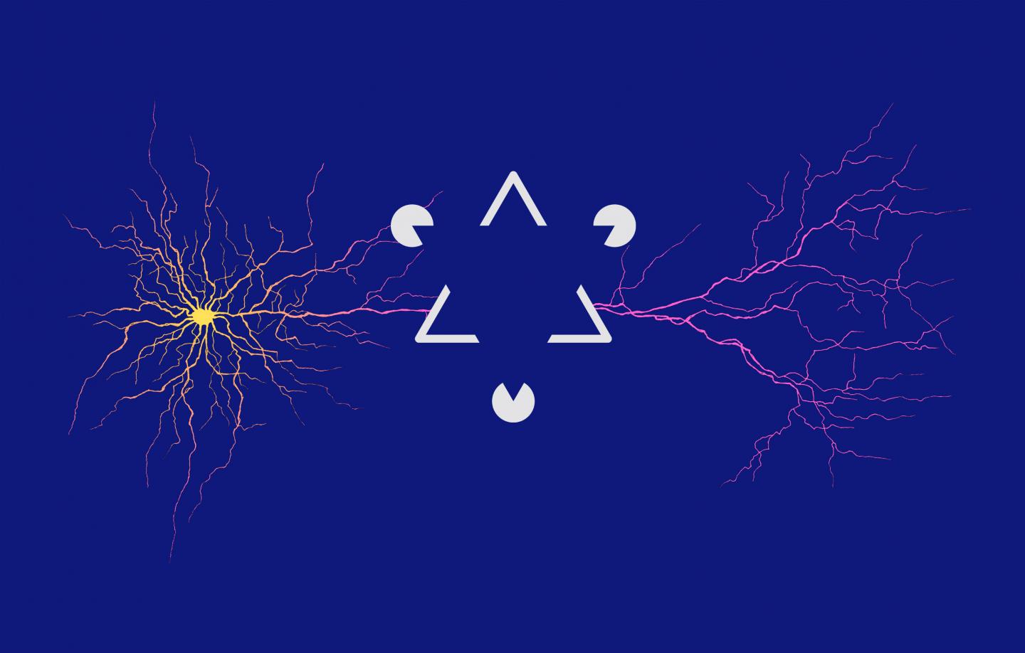 Synapses in the Brain