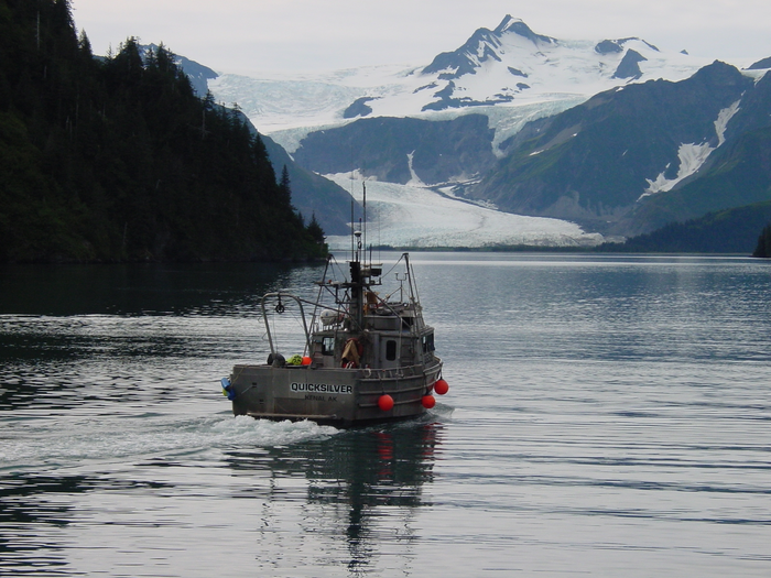 Waste to Energy: Biofuel from Kelp Harvesting and Fish