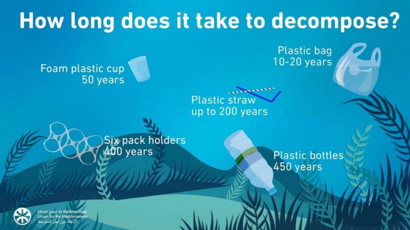 Infographic 2