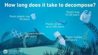 Infographic 2