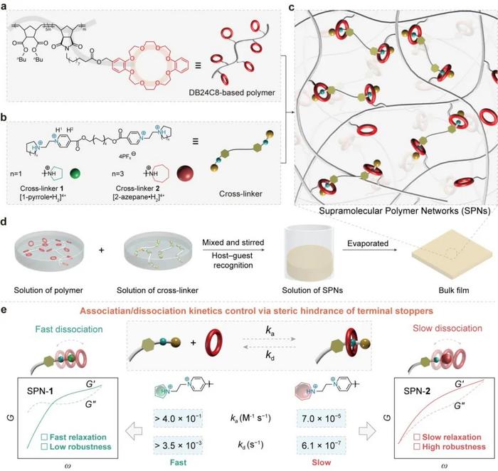 Steric Hindrance Controls Supramolecular Dissociation Kinetics and Material Properties