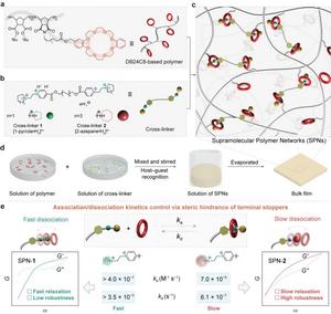 Steric Hindrance Controls Supramolecular Dissociation Kinetics and Material Properties