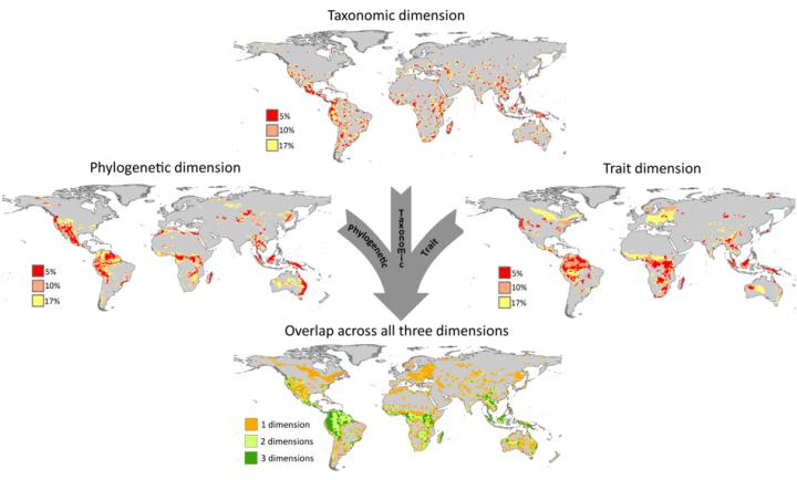 Biodiversity Map